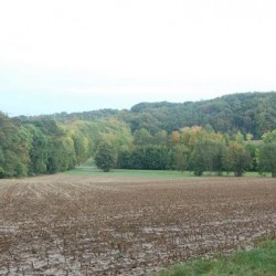 DSC 0553 - Sportraad Zaventem 